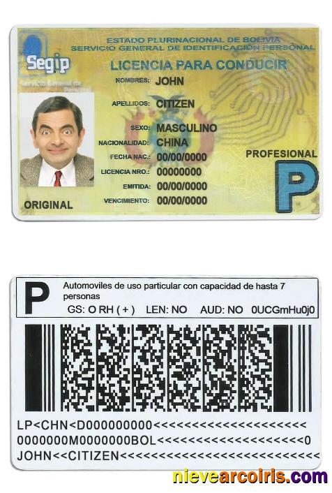Bolivia driving license